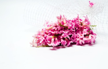 Fresh hyacinth spring flowers bouquet