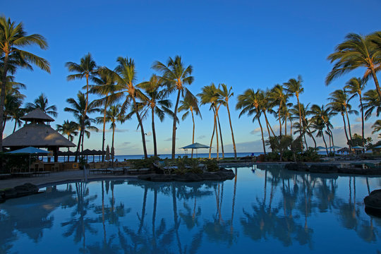 ハワイ島／リゾート地、癒し