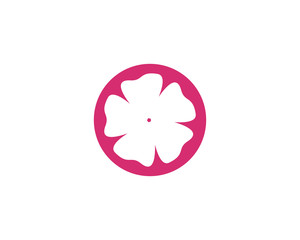 Plumeria flower icon vector illustration design