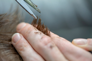 Handwerk Friseur / Frisör - Barber - Bürste und Fön