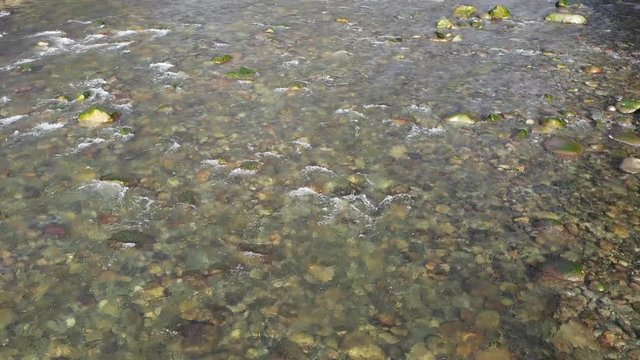 Majestic mountain river in Vancouver, Canada. Drone flying. Aerial view with mountain background. 4K.