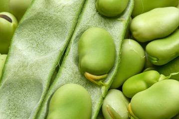 Close up of the leathery broad bean pod open on top of a layer of fresh green fava bean seeds. - obrazy, fototapety, plakaty