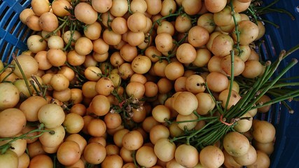 burmese grape or Baccaurea ramiflora