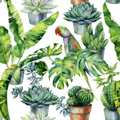 Seamless watercolor pattern with cactus and succulents in pots. Tropical leaves, dense jungle and green Alexandrine parrot. Pattern with tropic summertime motif.