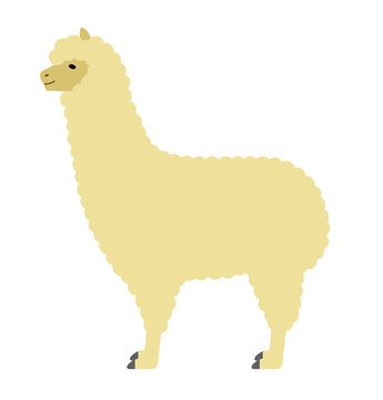 アルパカ