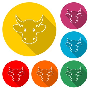 Cow head, Cow head icon, Cow logo, color set with long shadow