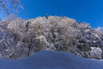 Frozen winter landscape 
