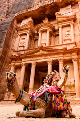 Spectacular view of two beautiful camels in front of Al Khazneh (The Treasury) at Petra. Petra is a...