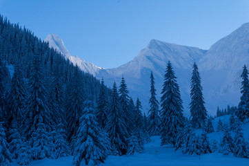 Frozen winter landscape 