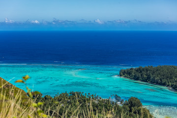 Fototapeta premium lagon de l'ile de Moorea