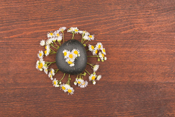 Field daisies and black stone stylized under the sun and rays.