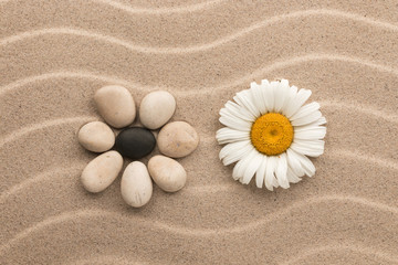 Concept flower made of stones and live chamomile.