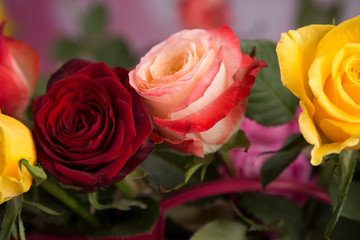 A bouquet of colorful roses for a valentine gift