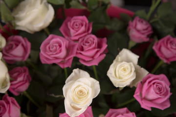 A bouquet of white and pink roses for a Valentine's gift