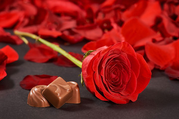 rose, petals and chocolates on black background