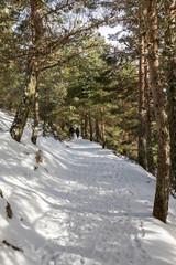 Way of ascent to the lagoons of Pe&ntilde;alara in the mountain range of Madrid covered by snow.