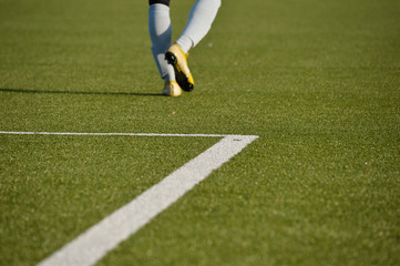 Obraz premium artificial turf