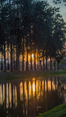 sunset in the park of sukhotthai