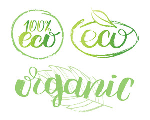 Eco bio organic hand drawn doodle element set - 100% natural