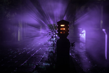 Fototapeta premium Beautiful colorful illuminated lamp in the garden in misty night. Retro style lantern at night outdoor.