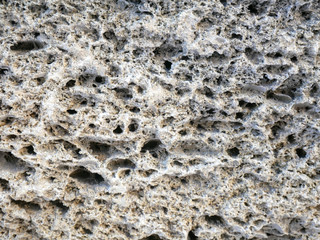 Shell rock wall texture. Coquina stone background.