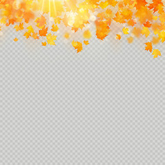 Fall maple leaves with delicate sun for decoration. Autumn leaves border template. Design element. EPS 10