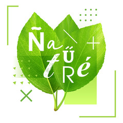 Obraz premium Typography poster realistic green leaves with an inscription Nature in modern style. Ecological template for design and print