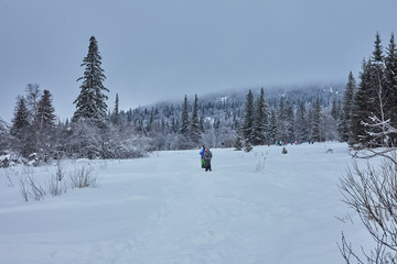 Fairy Winter Forest in Zyuratkul National Park.