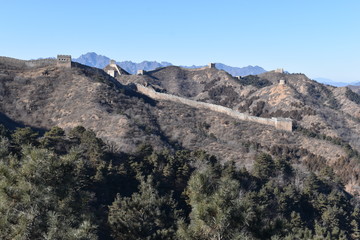 Panorama of the Great Wall in Jinshanling in winter with green trees in front near Beijing in China