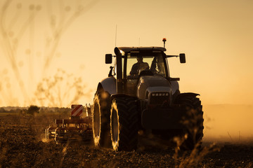 Naklejka premium Modern tractor plowing at the sunset with lot of dust in background