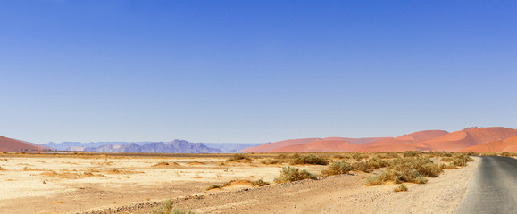 Road in the Namib Desert / Road in the Namib desert to the horizon, Namibia, Africa.