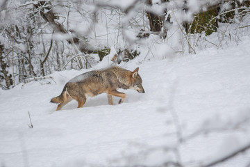 Obraz premium abruzzo