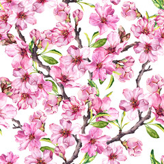 Spring flowers blossom sakura, cherry or apple tree. Floral seamless pattern. Watercolor