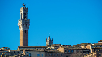 Fototapeta na wymiar Torre del Mangia, Siena