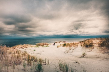 Large sand dune system, Baltic Sea,  Curonian Spit, Lithuania