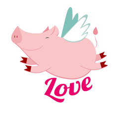 Fototapeta premium cute flying pig