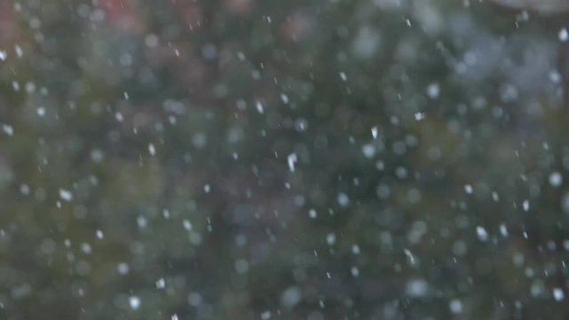 Flies the snow in a captured shooting