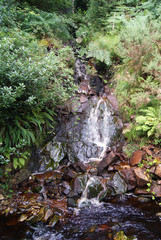 Glenevin Waterfall Park Bach - Irland