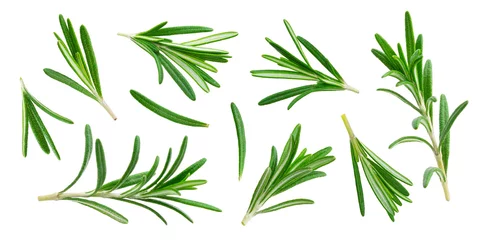Foto op Plexiglas Rosemary twig and leaves isolated on white background with clipping path, collection © xamtiw