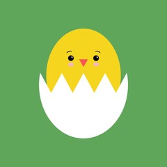 Funny yellow newborn chicken in broken egg shell kawaii