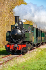 Fototapeta na wymiar Locomotive à vapeur en campagne, Baie de Somme, Picardie, 