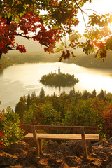 CLOSE UP: Lonely bench overlooking stunning lake Bled on a calm summer evening.