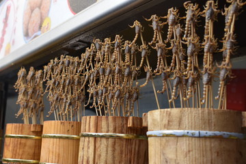 Scorpions on a stick at a local Chinese market in Beijing