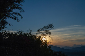 Fototapeta premium tree at sunset