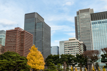 Fototapeta na wymiar 冬の東京大手町　高層ビル群と公園３