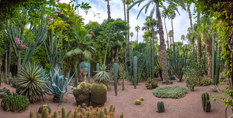 Panorama of The Majorelle Garden is a botanical garden and artist's landscape garden in Marrakech,...