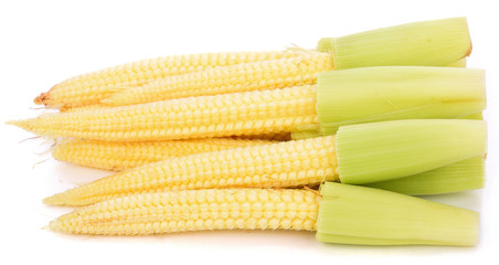 Baby corns isolated on white background
