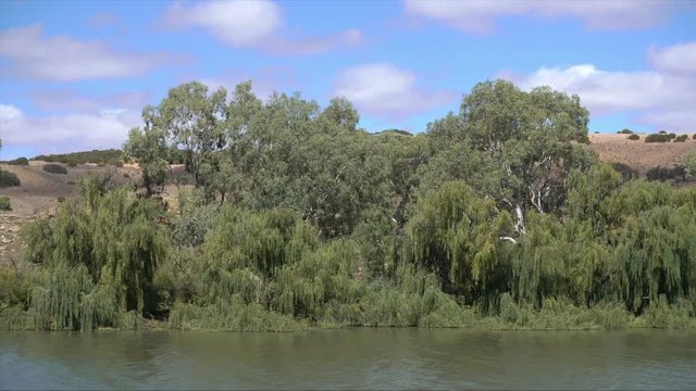 Banks of the Murray River at Mannum, South Australia