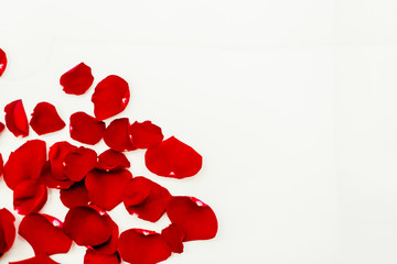 Woman's day holiday 8 march wallpaper. Background, copyspace. Horizontal top view. Red rose and shampagne glass.