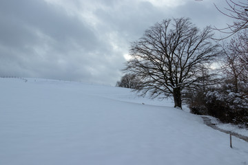 Fototapeta na wymiar Bettenauer Weiher im Schnee